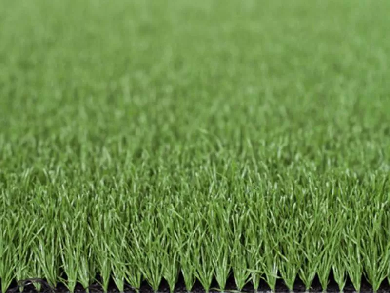 Cỏ nhân tạo sân golf PTN-SG-03