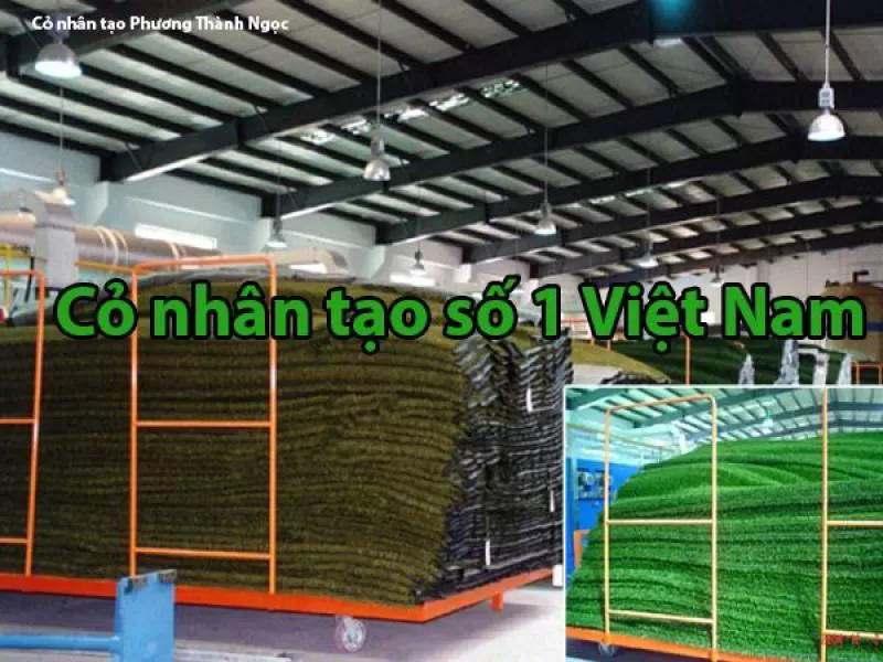 Cỏ nhân tạo số 1 Việt Nam
