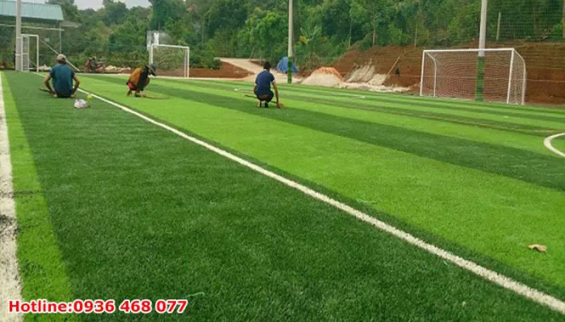 Bảo Dưỡng Cỏ Nhân Tạo Tại Thanh Hóa
