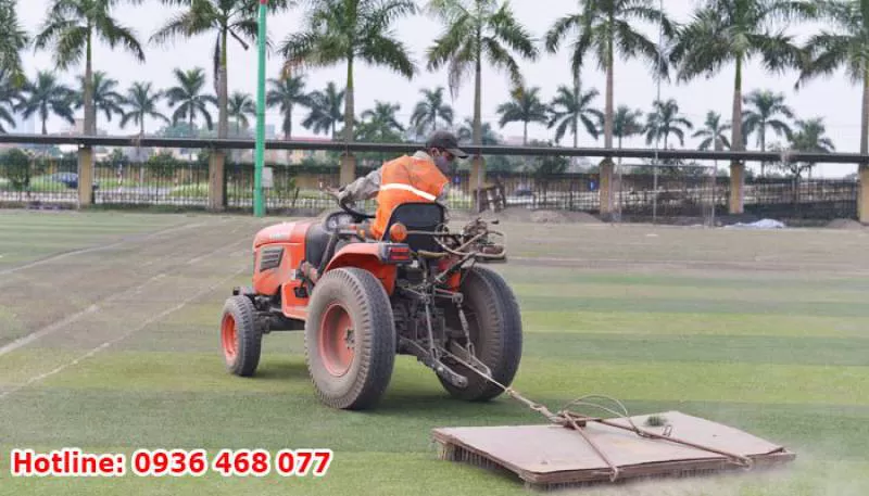 Bảo Dưỡng Cỏ Nhân Tạo Tại Hải Phòng