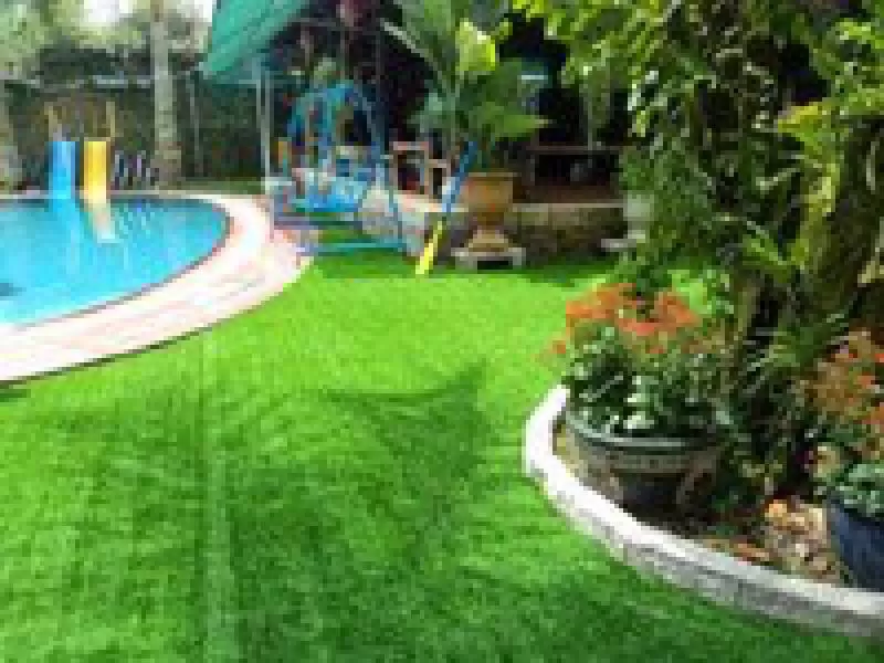 Báo giá cỏ nhân tạo sân vườn