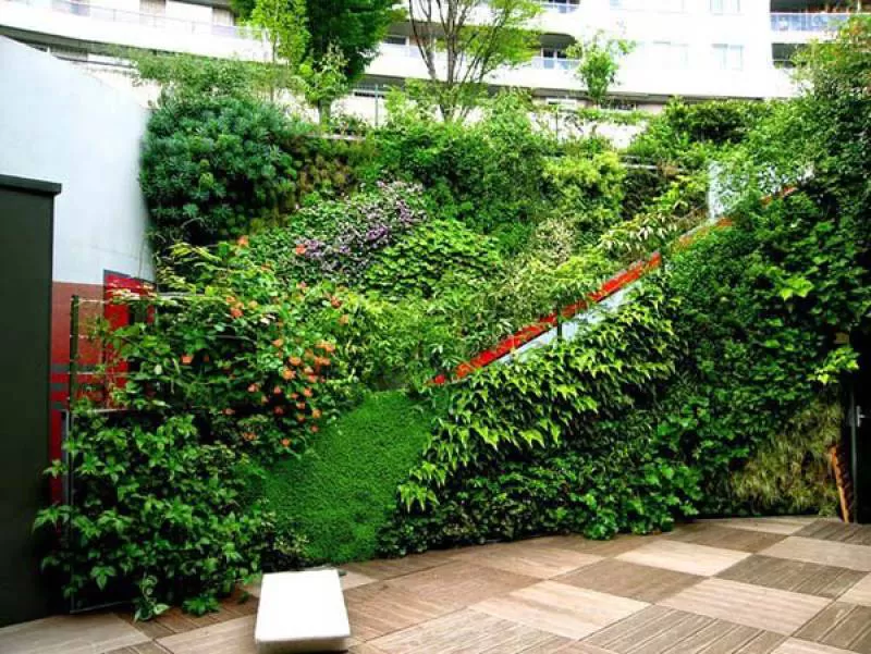 Mẫu thiết kế sân vườn đẹp dành cho diện tích nhỏ