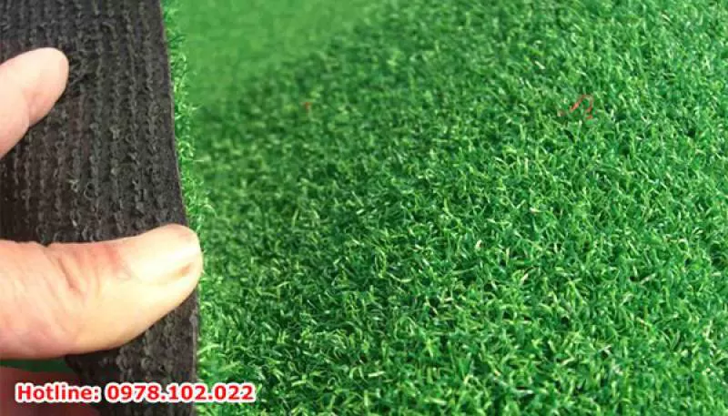 Cung cấp cỏ nhân tạo tại TP Hồ Chí Minh