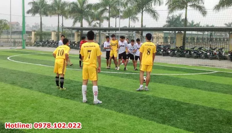 Cung cấp cỏ nhân tạo tại Yên Bái