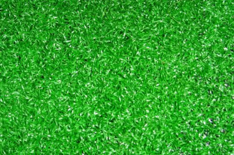 Cỏ nhân tạo và những điều cần biết