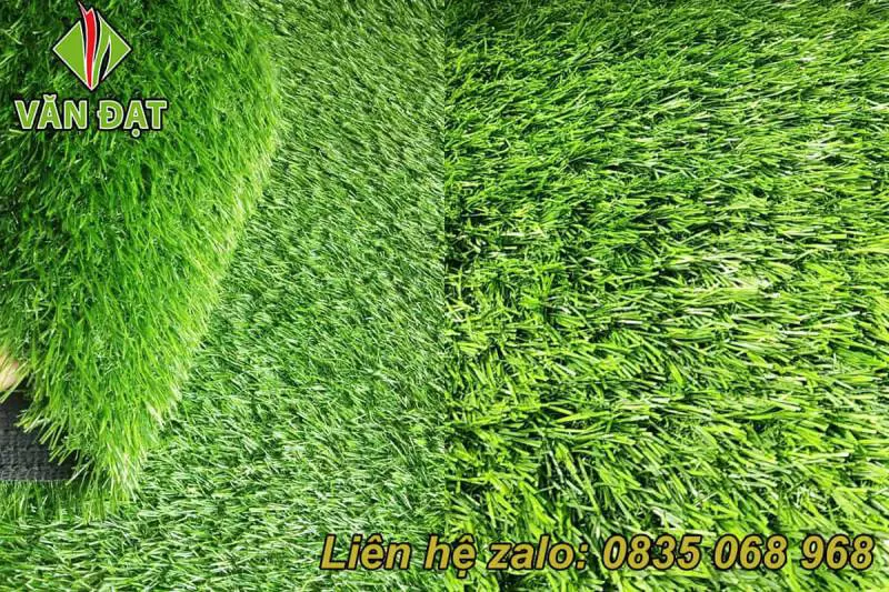 Cỏ nhân tạo 3 cm tốt VD3_001 