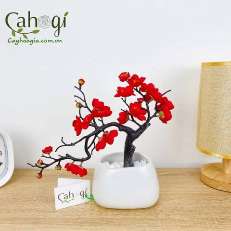 Chậu Đào Ta Cắm Sẵn Nghệ Thuật 