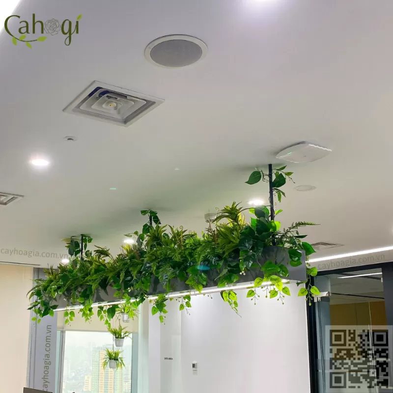 Thi Công Bồn Cây Giả Cho Treo Rủ Trần - Giải Pháp Xanh Cho Văn Phòng Hiện Đại