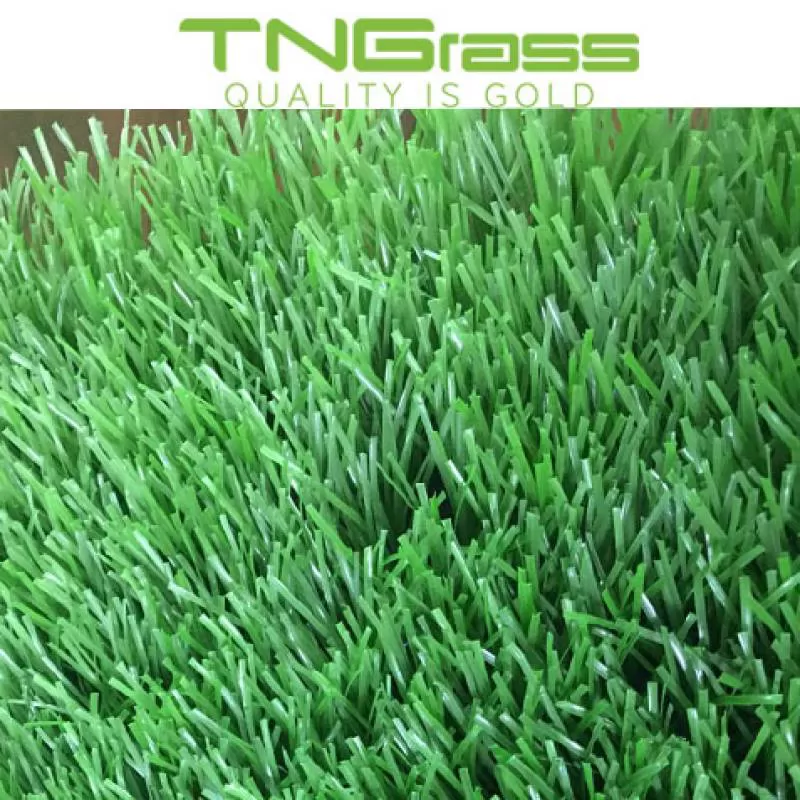 Cỏ nhân tạo sân bóng giá rẻ TNG CR2