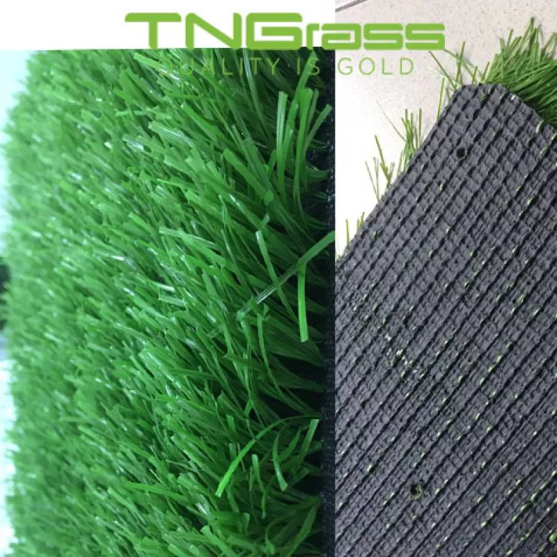 Cỏ nhân tạo sân bóng giá rẻ TNG CR3