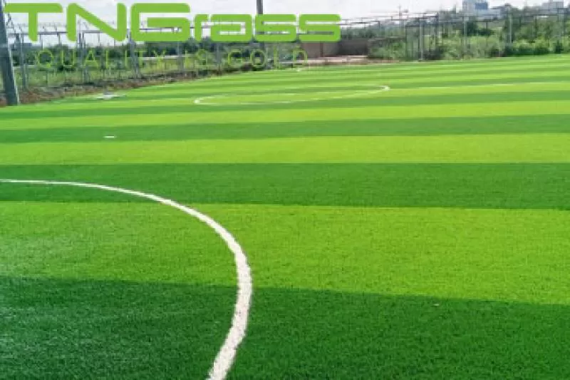 Mua cỏ nhân tạo sân bóng đá ở đâu tại TP Hồ Chí Minh đảm bảo uy tín?