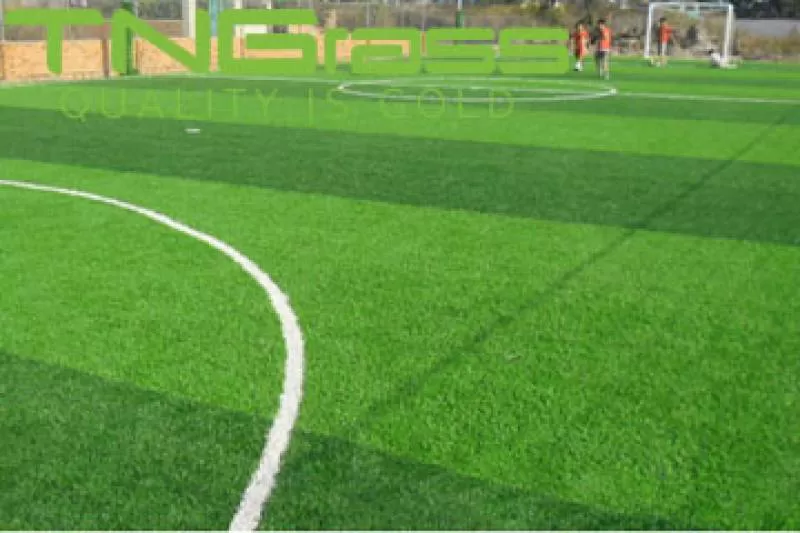 Địa chỉ cung cấp cỏ nhân tạo sân bóng uy tín