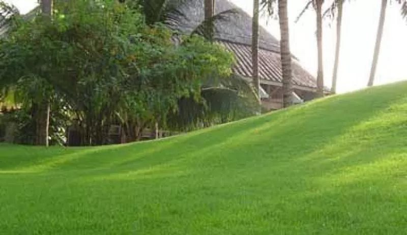 Đâu là thời điểm cần bảo trì sân cỏ nhân tạo?