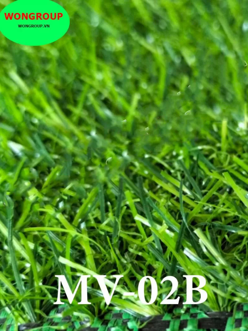Cỏ sân vườn MV-02B