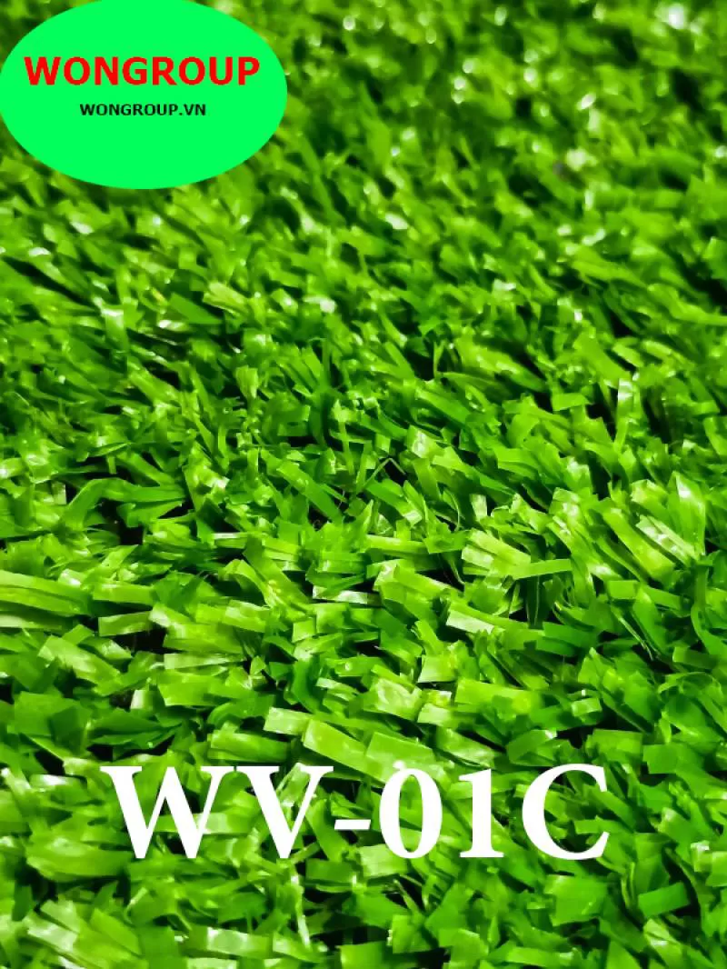 Cỏ sân vườn WV-01C