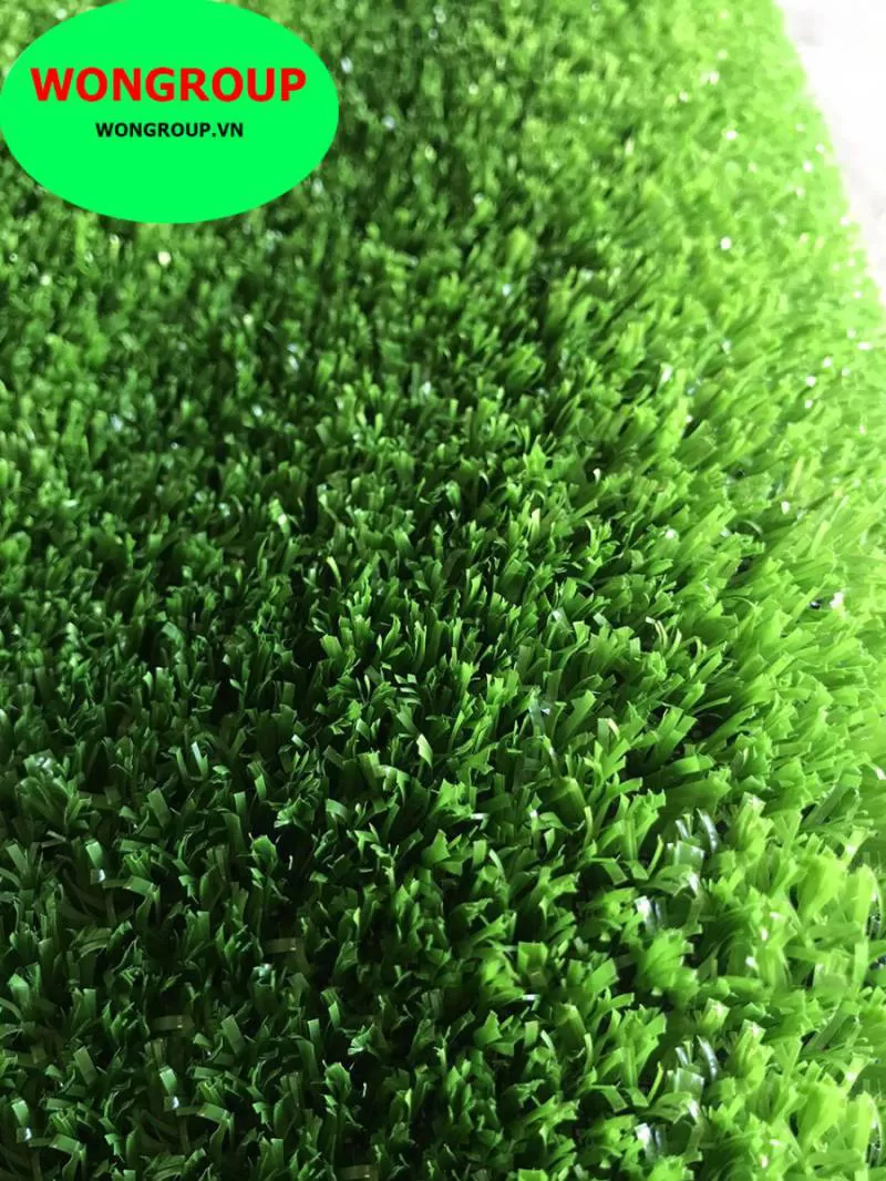 Cỏ sân vườn MV-01T