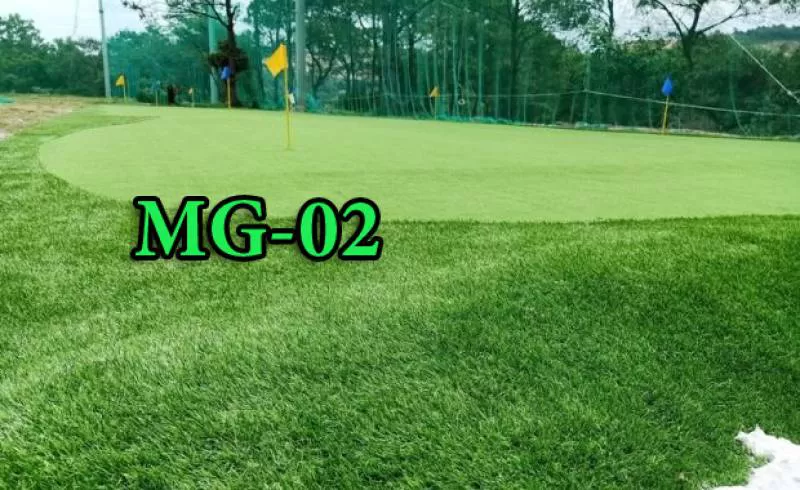 Cỏ sân Golf MG02- 160R