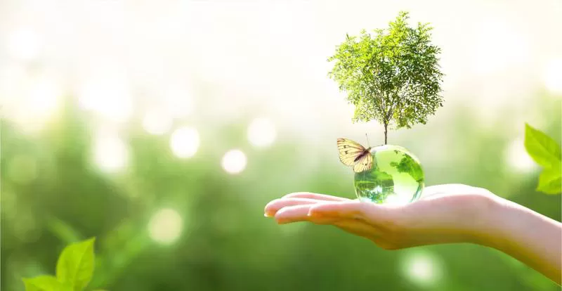 Báo cáo quan trắc môi trường Quý 3 năm 2022