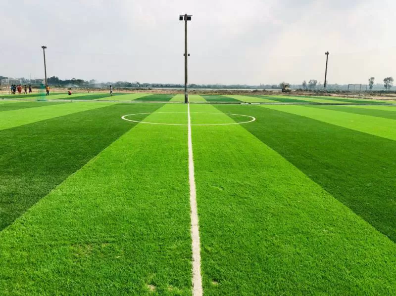 Cỏ sân bóng đá TC38-18ST 
