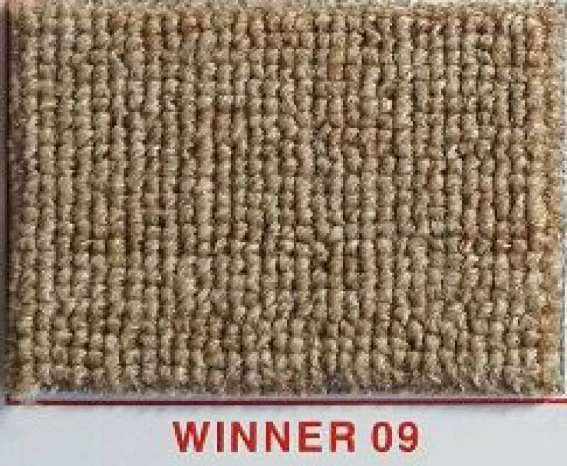 Thảm trải sàn màu beige Winner 09