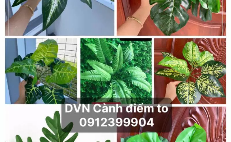Thành Đạt Cụm Điểm To