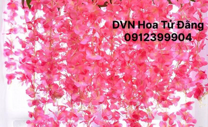 Thành Đạt Hoa Tử Đằng