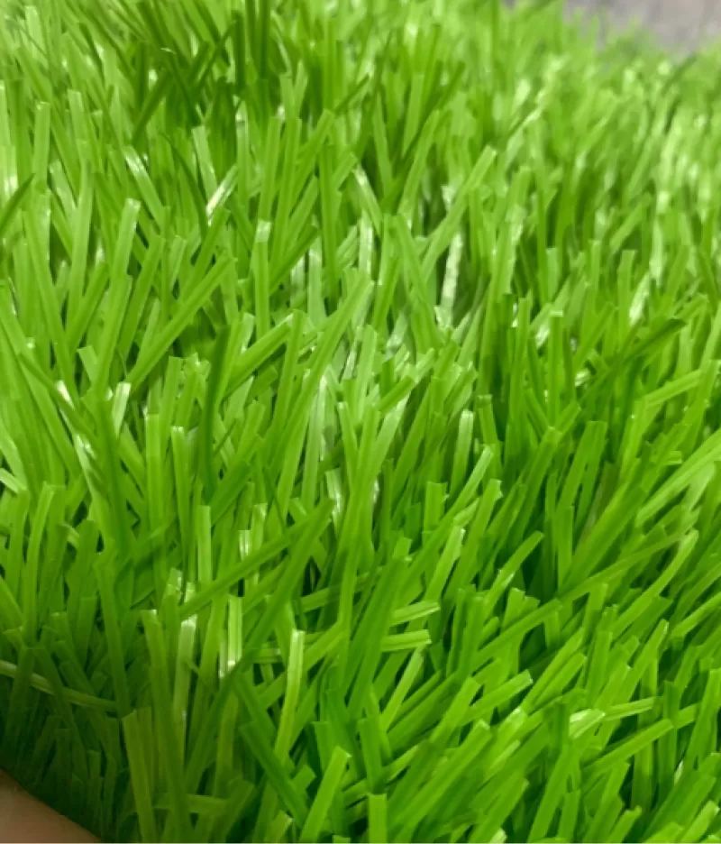 Cỏ sân bóng đá TC31-13S