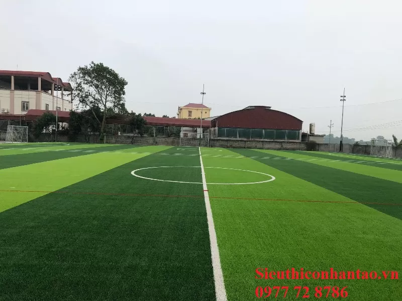 Cỏ sân bóng đá TC25-16U