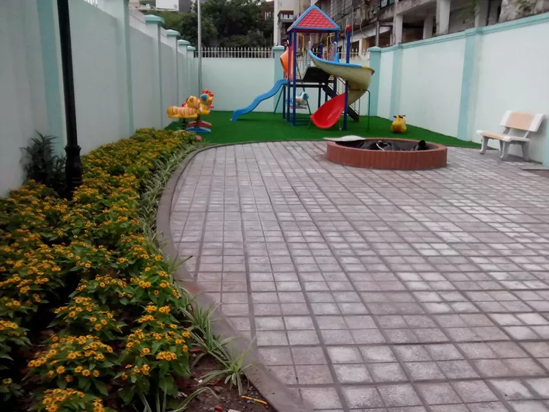 Cỏ sân vườn TC01-20