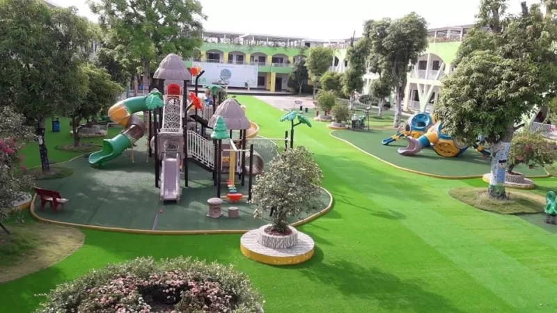 Cỏ sân vườn TC09-15