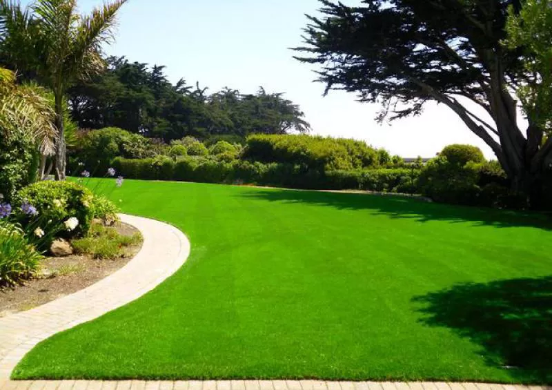 Cỏ sân vườn TC10-30