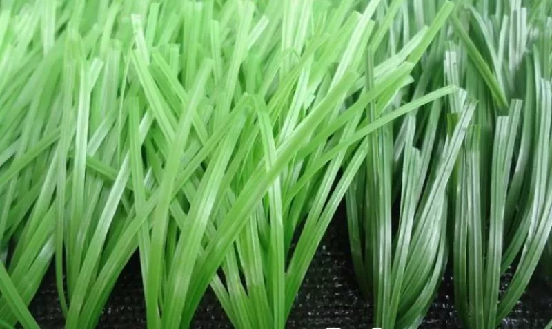 Cỏ sân bóng đá TC26-16S