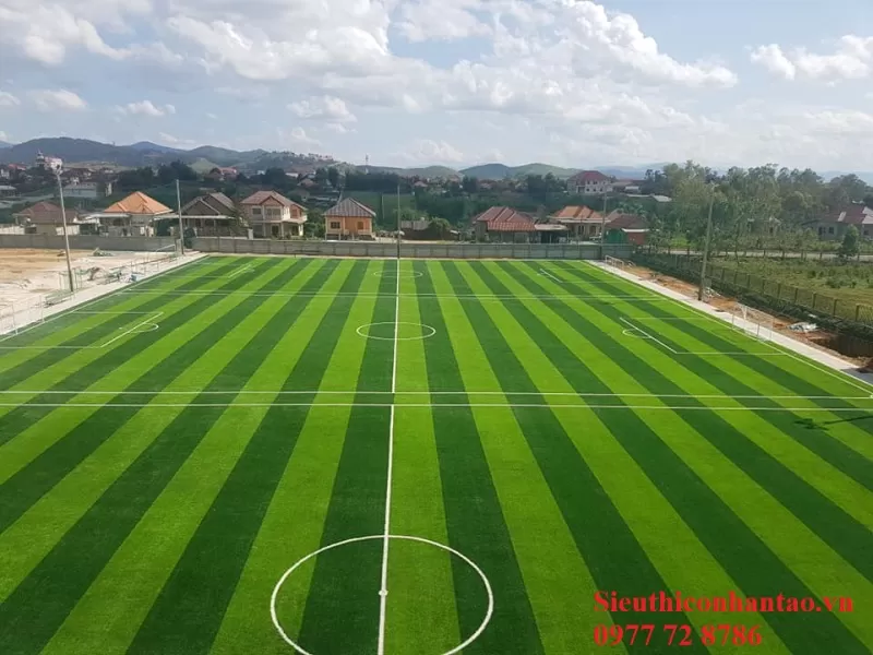 Cỏ sân bóng đá TC20-13U