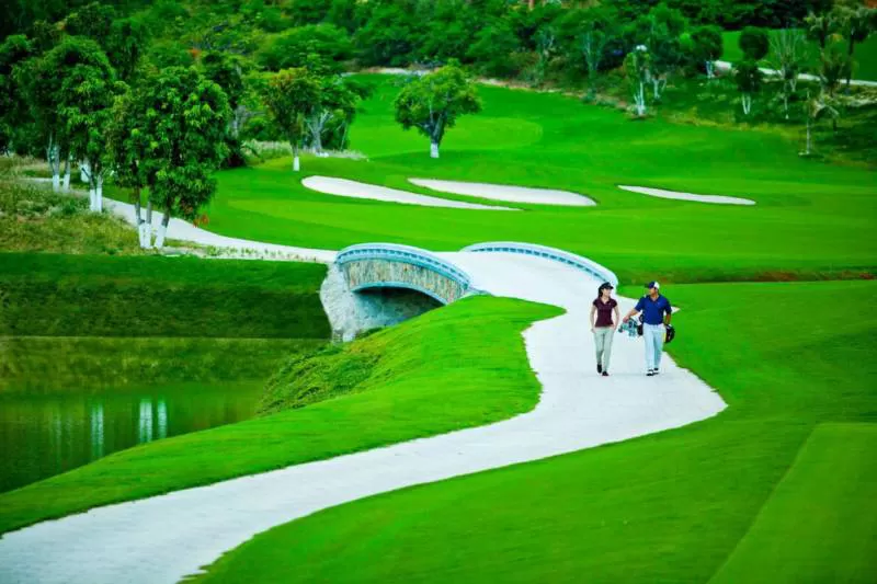 Cỏ nhân tạo sân golf TC40-10CG