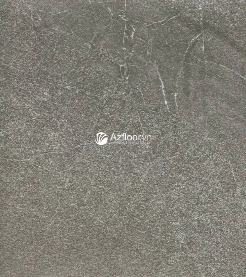 Sàn nhựa bê tông AS206