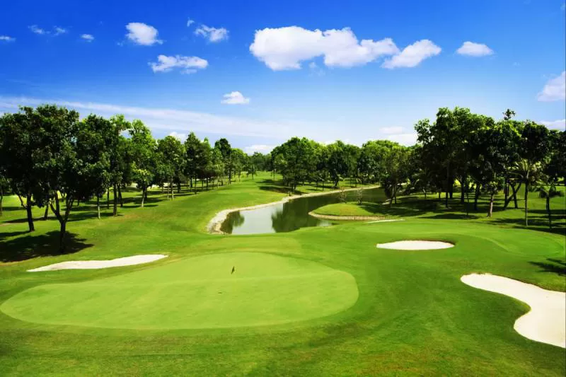 Cỏ nhân tạo sân golf TC47-15CG