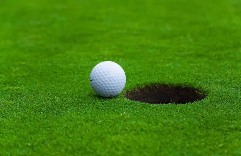 Cỏ nhân tạo sân golf TC42-18CG