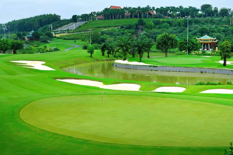 Cỏ nhân tạo sân golf TC43-12CG