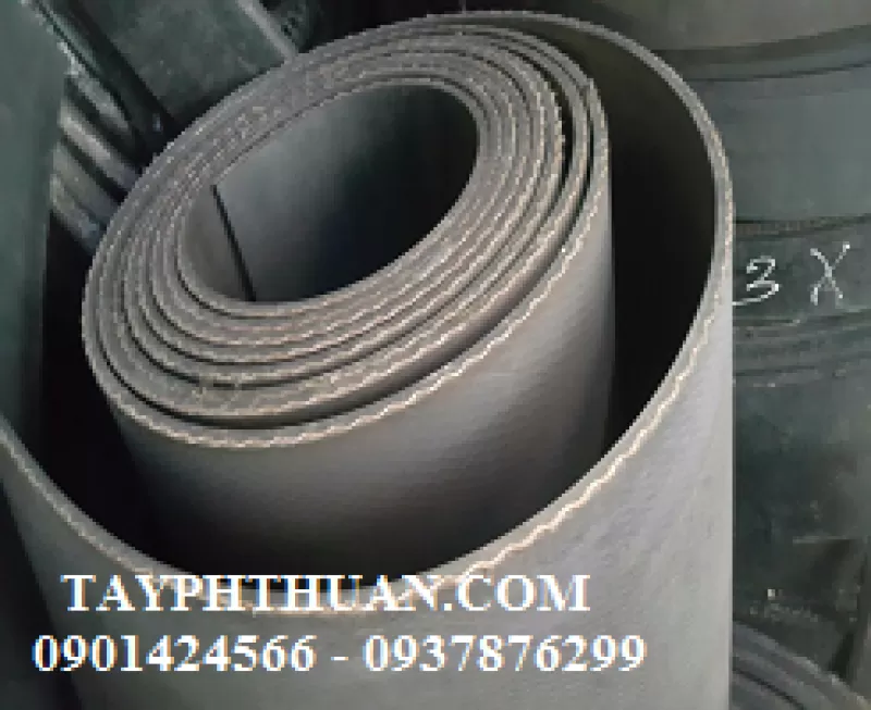 Băng tải chuyền hàng ngành thực phẩm