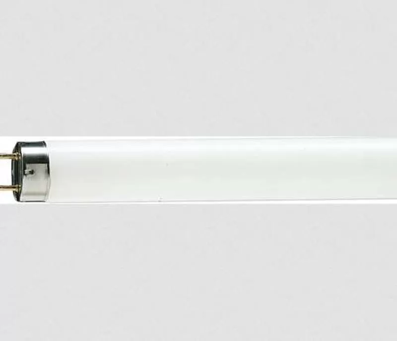 Bóng đèn Huỳnh Quang Dài Philip Mã Số TLD 18/54 18W 