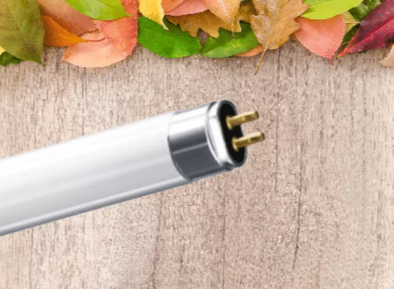Bóng đèn huỳnh quang Essential T5TL5 Essential 28W