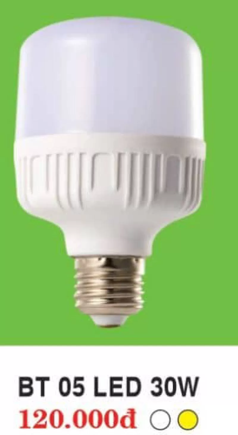 Bóng Led Bulb BT Led 30W 