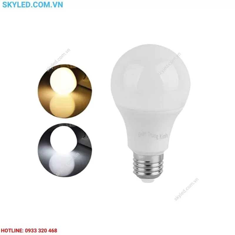 Bóng Đèn Led Bulb 12W Dsy