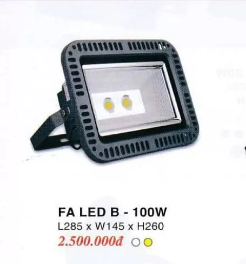 FA LED B-100W