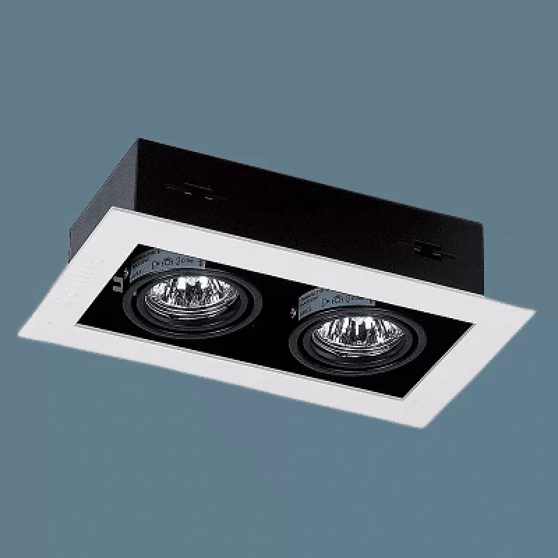 Chao đèn LBX300 Philips GU5.3 2*50W (Chưa gồm bóng)