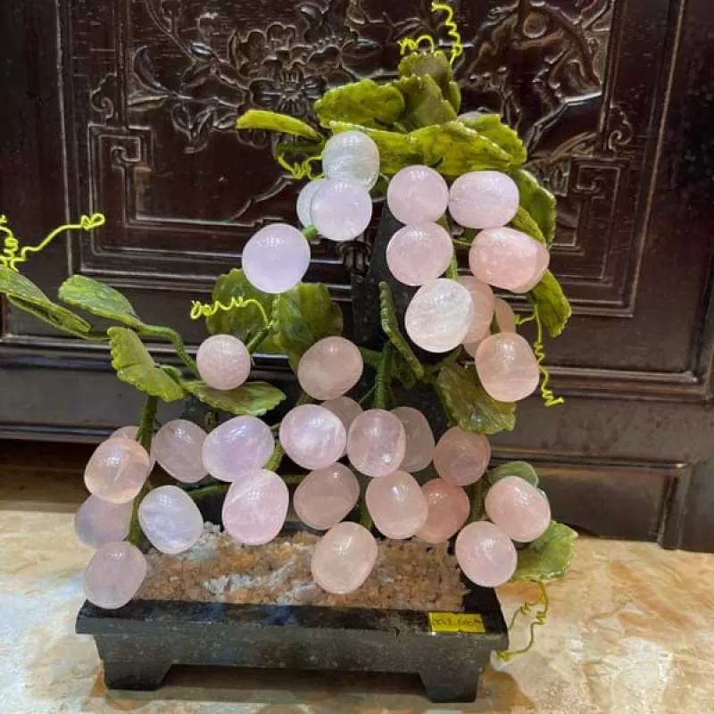 Cây Nho Thạch Anh Hồng 2
