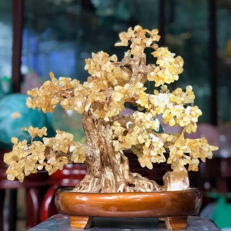 Cây Tài Lộc Thạch Anh Vàng Cây kho báu