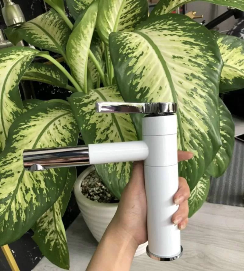 Vòi rửa mặt nóng lạnh Homaya 20cm ĐV 07