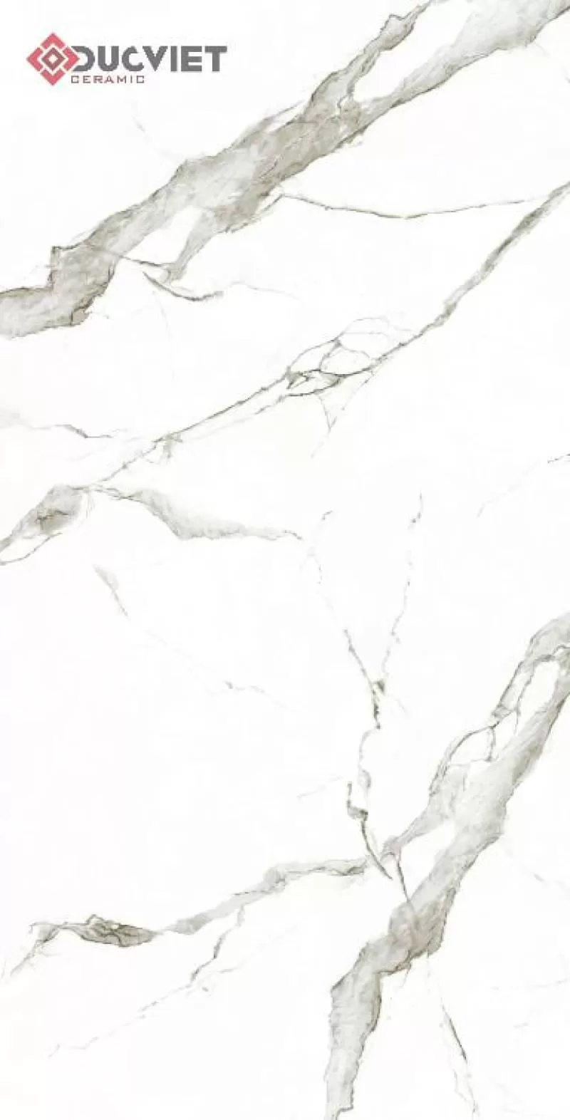 Gạch Eurotile SIG-P61206 60x120 