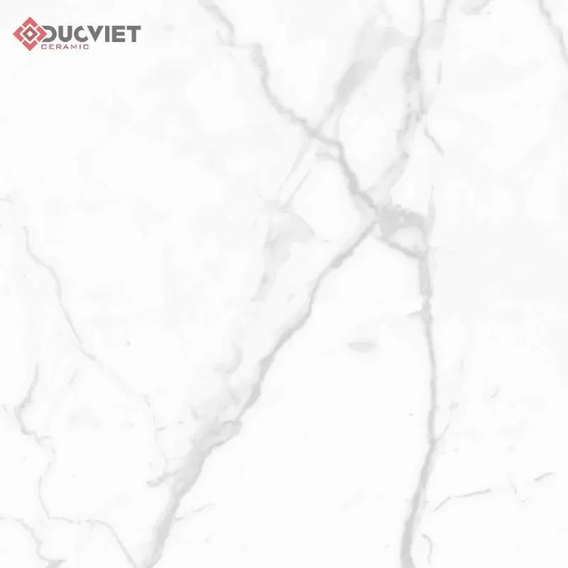Gạch Eurotile SIG-P8803 80x80 